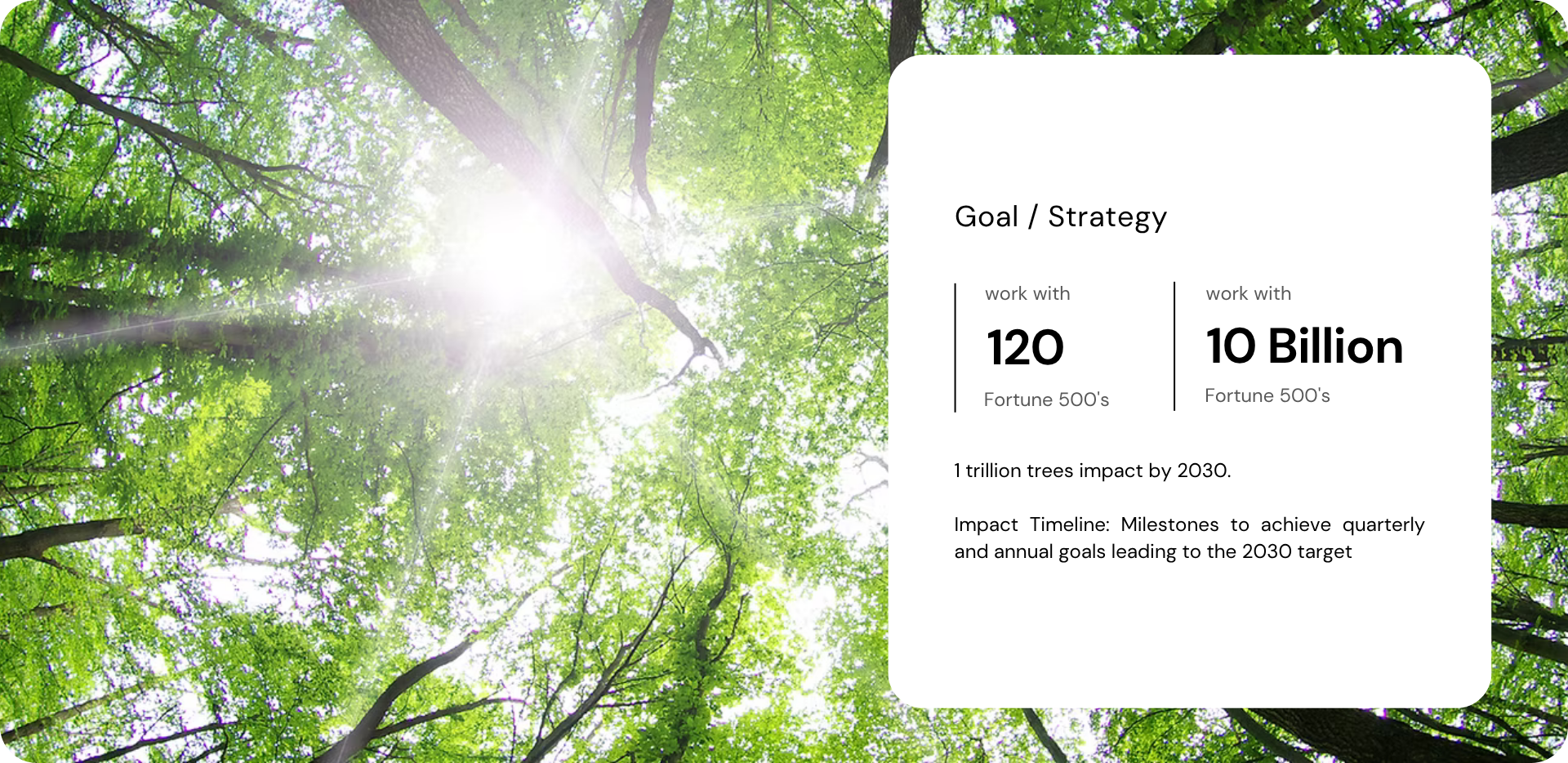 trillion tree 2